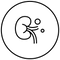Detox & urea cycle support