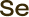 Selenium icon